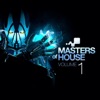 Masters of House, Vol. 1