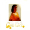 Sibel Sezal - Değmez Mi