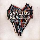 'Til I Got to Know You - Sanctus Real