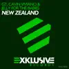 Stream & download New Zealand - Single