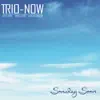Someday Soon (feat. Steve Hunt, Bruce Gertz & Jack Diefendorf) album lyrics, reviews, download