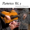 Flamenco Vol. 3