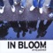 Don't Let Me Go - In Bloom lyrics