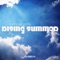 Summer Rising (Original Mix) - J. Verner & Larah Strong lyrics