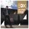 Love Express (Nelski Remix) [feat. Jerique] - EDX & Seamus Haji lyrics
