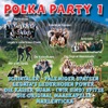 Polka Party 1, 2014