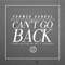 Can't Go Back - Former Vandal lyrics