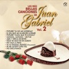 Las Mas Bellas Canciones De Juan Gabriel Vol. 2