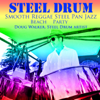 Steel Drum Smooth Reggae Jazz Pan Beach Party - Doug Walker