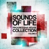 Sounds Of Life, Vol. 8 (Progressive House Collection)
