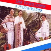 Los Fabulosos Tres Paraguayos artwork