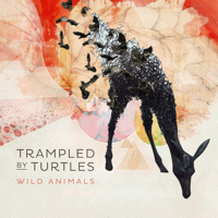 Trampled By Turtles - Wild Animals artwork