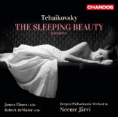 The Sleeping Beauty, Op. 66, Act II: First Tableau (conclusion): 18. Entr’acte: Andante sostenuto artwork