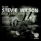 Close to the Edge (Drumloch Remix) - Stevie Wilson lyrics