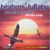 Brahms´ Lullaby and Other Favorites With Bird Songs - Best of Brahms artwork