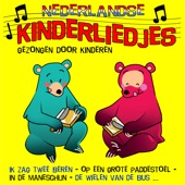 Nederlandse Kinderliedjes artwork