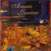 Acoustic Junction - Today We Sing the Blues