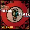 Tribal Beatz of Africa (feat. Barry Van Zyl, Robin Hogarth & Johnny Clegg) artwork