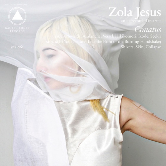 Cover artwork for Skin