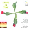 Steps in Time