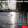 Deutsche Volksmusik Hits - Lieder über Einsamkeit, Herzschmerz & Fernweh, Vol. 5 - Various Artists