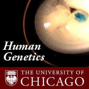 Human Genetics cover
