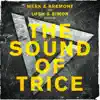 The Sound of Trice album lyrics, reviews, download