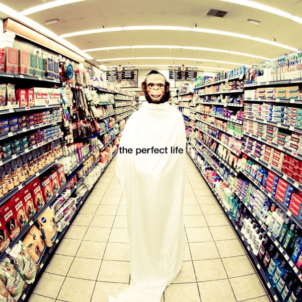 The Perfect Life (feat. Wayne Coyne) - EP - Moby