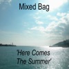 Here Comes the Summer - Single