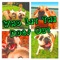 Who Let The Dogs Out (Baha Men Salute) - The BIG DOGS lyrics