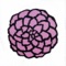 Chrysanthemum - EP