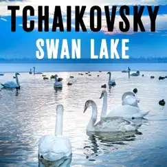 Swan Lake, Op. 20: No. 18, Scène. Allegro - Allegro giusto Song Lyrics