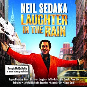 Laughter In The Rain Artwork