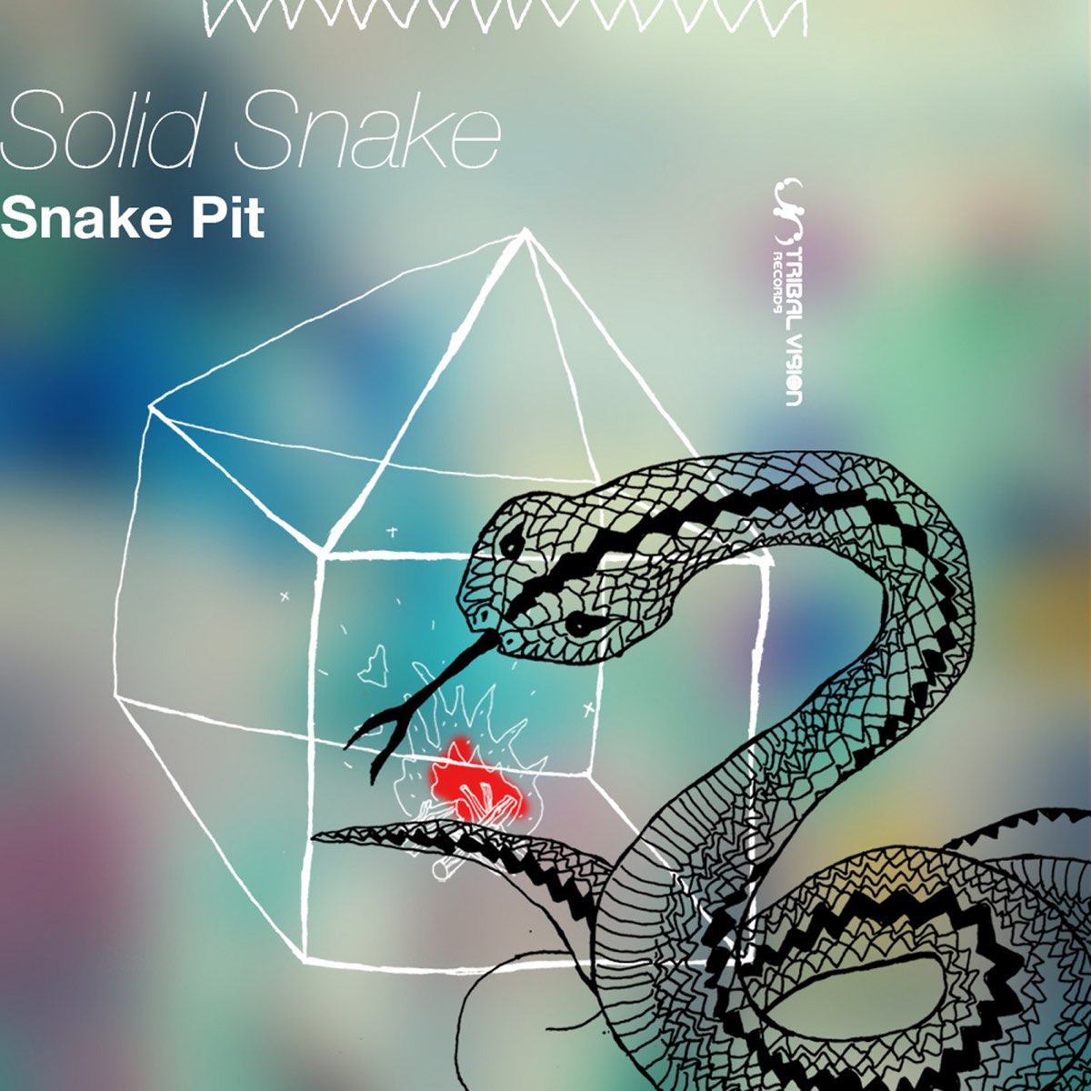 Snake's music. Змеи на обложках альбомов. Песня snaca. Vibrasphere.