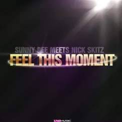 Feel This Moment (Radio Edit) Song Lyrics
