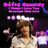 I Think I Love You - Greatest Hits Live artwork