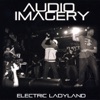 Electric Ladyland artwork