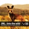 Into the Wild (Peter Horrevorts Kangaroo Tool) - JML Recordings lyrics