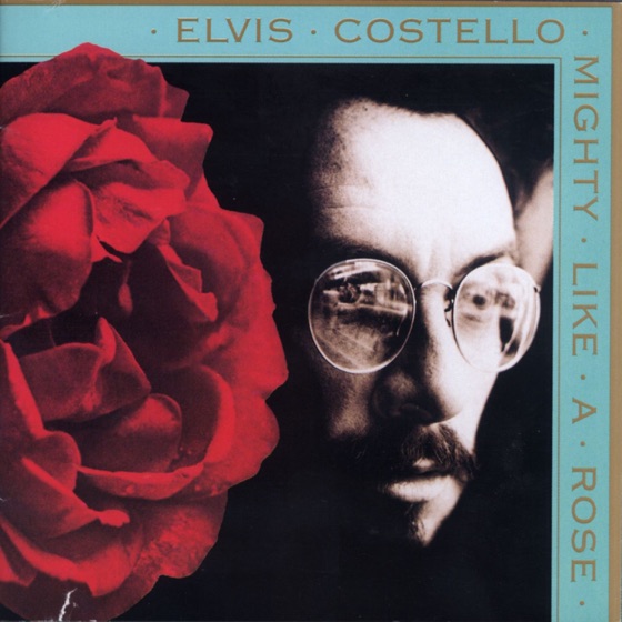 Cover artwork for After the Fall