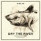 New Ceremony - Dry the River lyrics