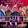 Spirit of Praise, Vol. 4 (Live)