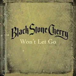 Won't Let Go - Single - Black Stone Cherry