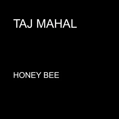 Honey Bee - Single - Taj Mahal