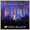 MTV Presents Unplugged 2012: Florence + the Machine (Live) artwork