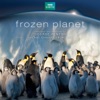 Frozen Planet (Soundtrack from the TV series) artwork