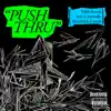 Push Thru (feat. Kendrick Lamar & Curren$y) - Single album lyrics, reviews, download