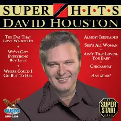 Super Hits (Original Gusto Recordings) - David Houston