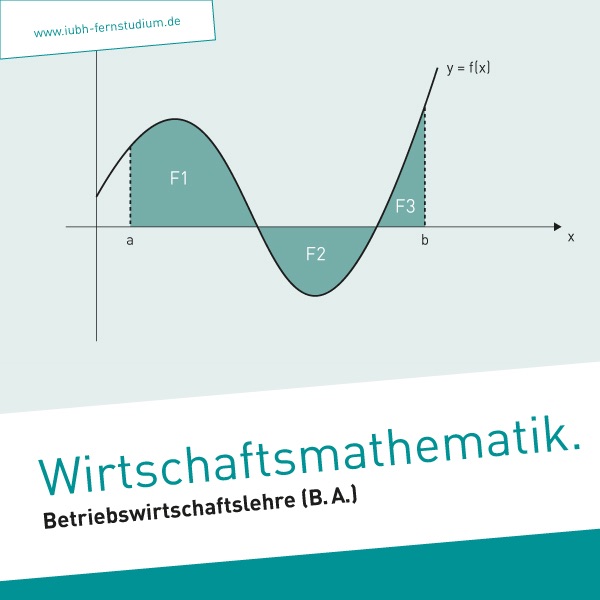 Wirtschaftsmathematik (Bachelor) cover
