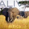 Africa - EP