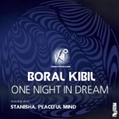 One Night In Dream (Original Mix) artwork